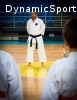 Α.Σ. ΑΚΑΔΗΜΙΑ SHOTOKAN KARATE DO ΗΡΑΚΛΕΙΟΥ