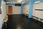 Α.Σ. ΠΑΝΘΗΡΕΣ ΜΕΤΑΜΟΡΦΩΣΗΣ