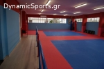 Α.Σ. ΠΑΝΘΗΡΕΣ ΜΕΤΑΜΟΡΦΩΣΗΣ