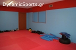 Α.Σ. ΠΑΝΘΗΡΕΣ ΜΕΤΑΜΟΡΦΩΣΗΣ