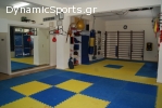 Γυμναστικός και Φιλοσοφικός Όμιλος Χαλανδρίου TAO CLUB
