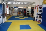Γυμναστικός και Φιλοσοφικός Όμιλος Χαλανδρίου TAO CLUB