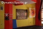 Wu Yongchunquan-Foshan Wing Chun. Saolin Seven Star Mantis. Yang Taijiquan