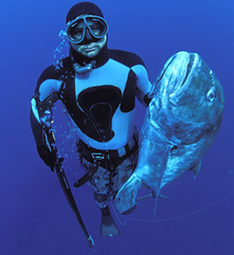 subfishing