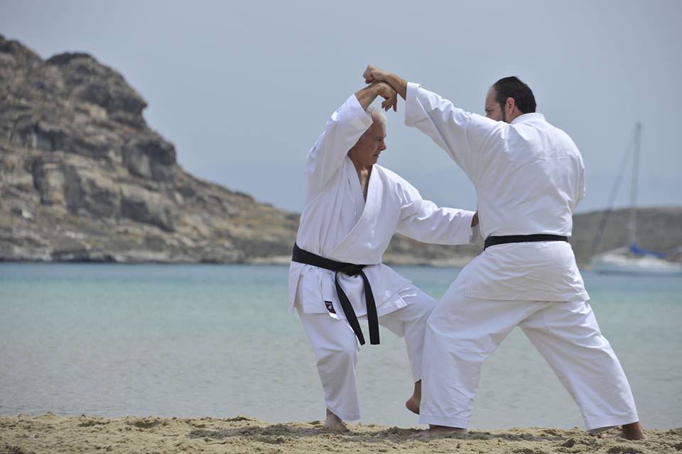 &Omicron; &Gamma;&iota;ώ&rho;&gamma;&omicron;&sigmaf; &Epsilon;&lambda;&epsilon;&upsilon;&sigma;&iota;&nu;&iota;ώ&tau;&eta;&sigmaf; &epsilon;ί&nu;&alpha;&iota; &mu;&iota;&alpha; &mu;&epsilon;&gamma;ά&lambda;&eta; &pi;&rho;&omicron;&sigma;&omega;&pi;&iota;&kappa;ό&tau;&eta;&tau;&alpha; &sigma;&tau;&omicron; &chi;ώ&rho;&omicron; &tau;&omega;&nu; &pi;&omicron;&lambda;&epsilon;&mu;&iota;&kappa;ώ&nu; &tau;&epsilon;&chi;&nu;ώ&nu; &sigma;&tau;&eta;&nu; &Epsilon;&lambda;&lambda;ά&delta;&alpha;.