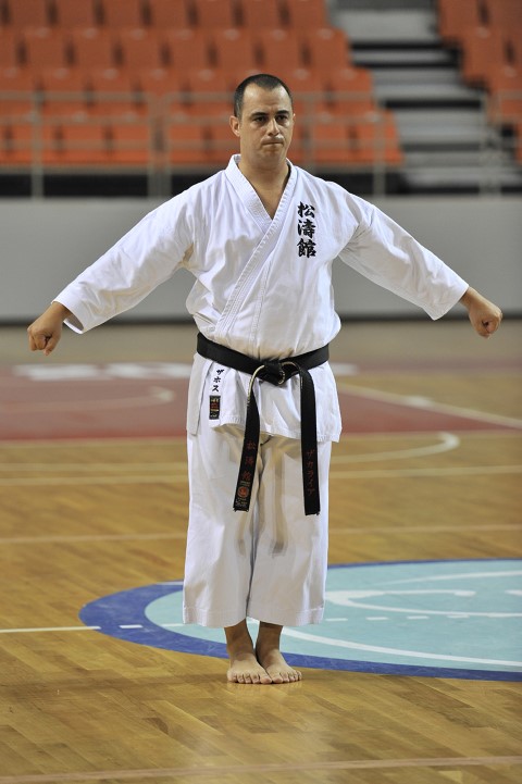 SatoriZ1 Small