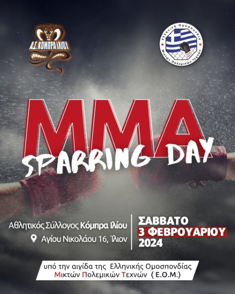 MMA Sparring Α.Σ. ΚΟΜΠΡΑ ΙΛΙΟΥ scaled Small