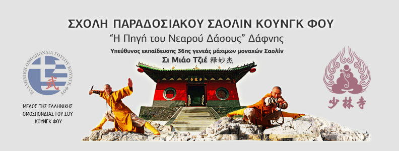 στο 20ο Πανελλήνιο Πρωτάθλημα Γ&Β κατηγορίας της Ελληνικής Ομοσπονδίας Γου Σου Κουνγκ Φου