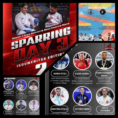karate dynamicsports12392025 Small