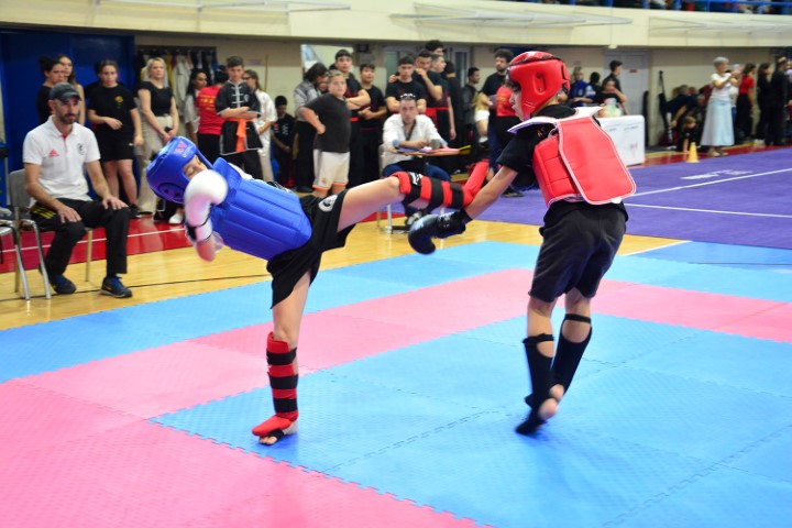 DSC 0011a Small
