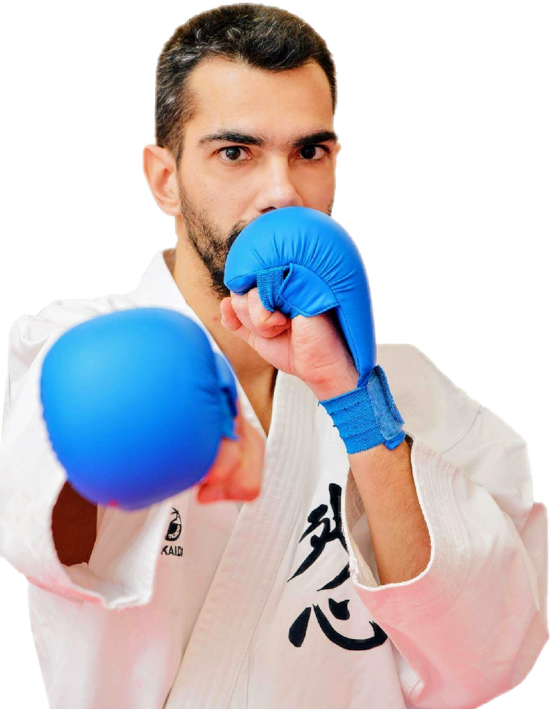SENSEI ΚΟΥΖΕΛΗΣ ΝΙΚΟΣ