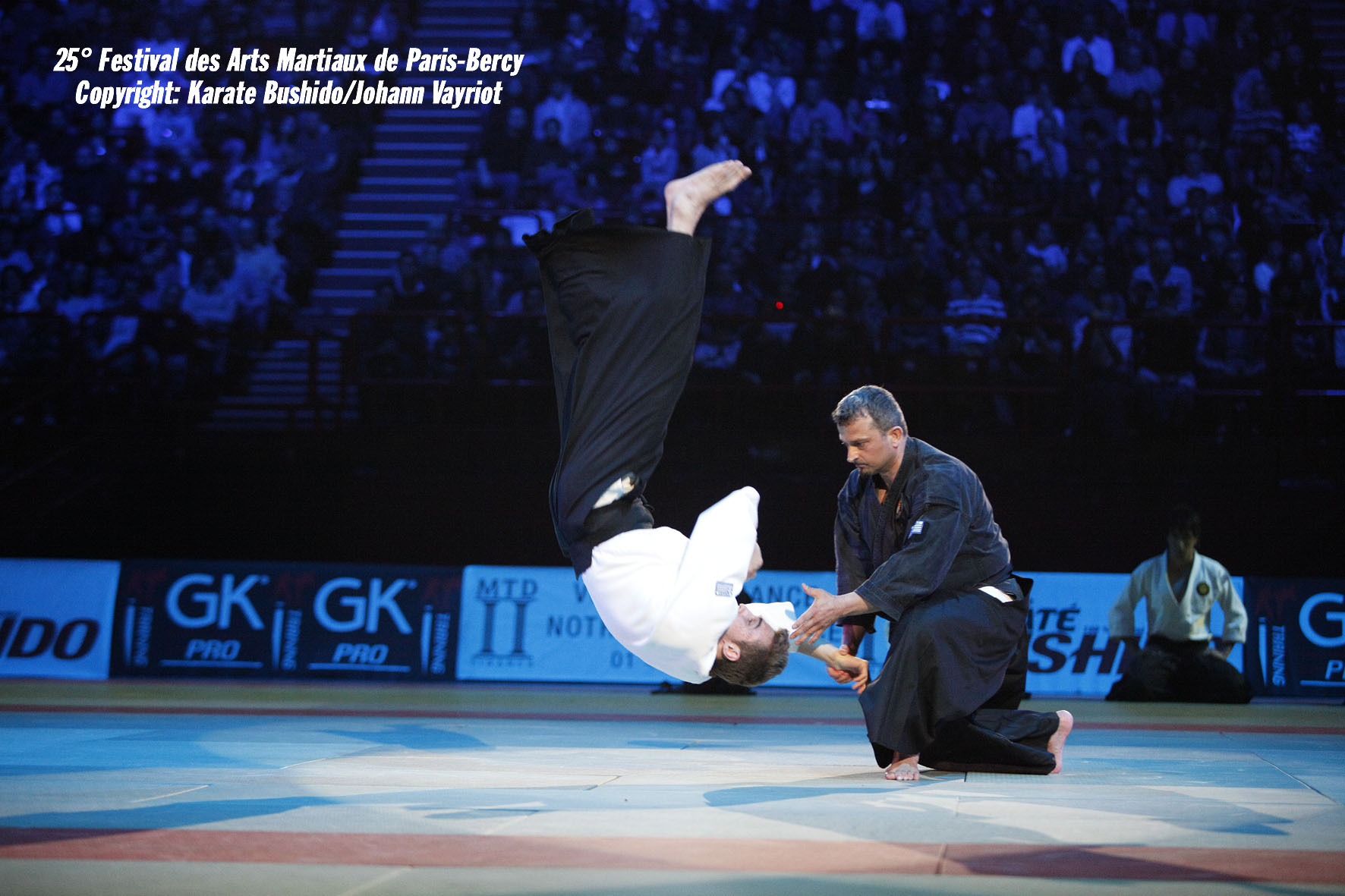 aikijutsu 1