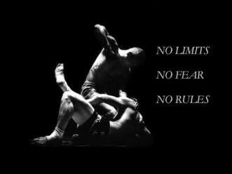 mma article 23316