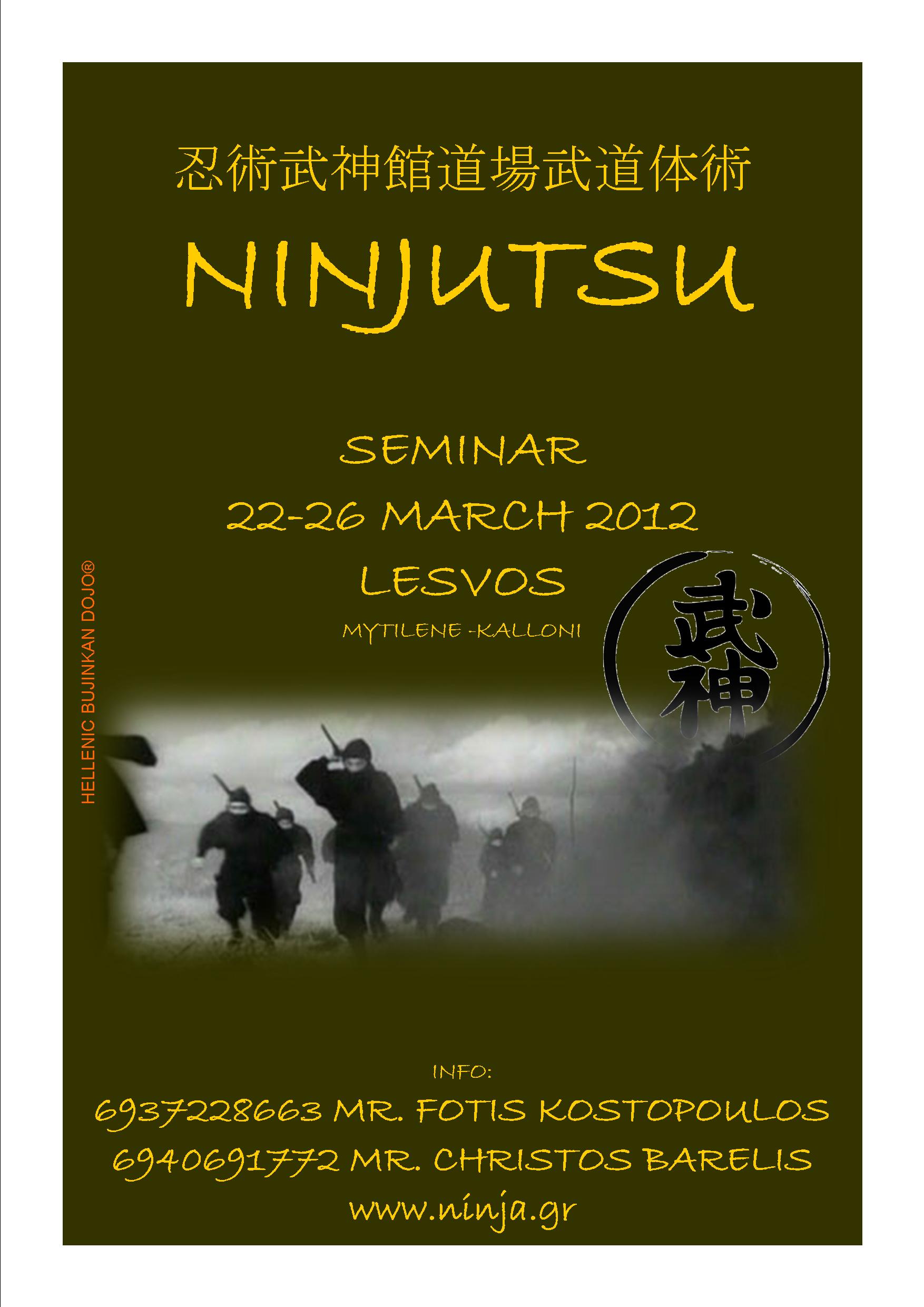 ninjutsu seminar 2012-3 brochure