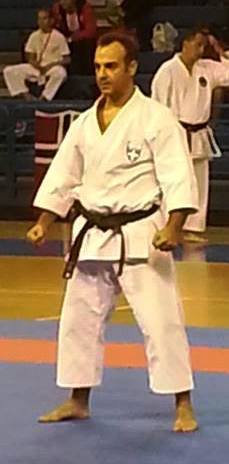 dimou41015