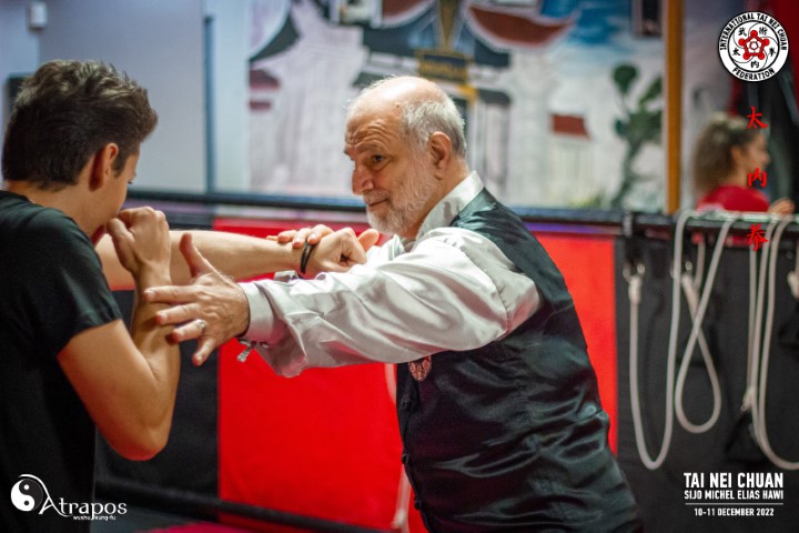 218 Tai Nei Chuan Seminar Atrapos Small