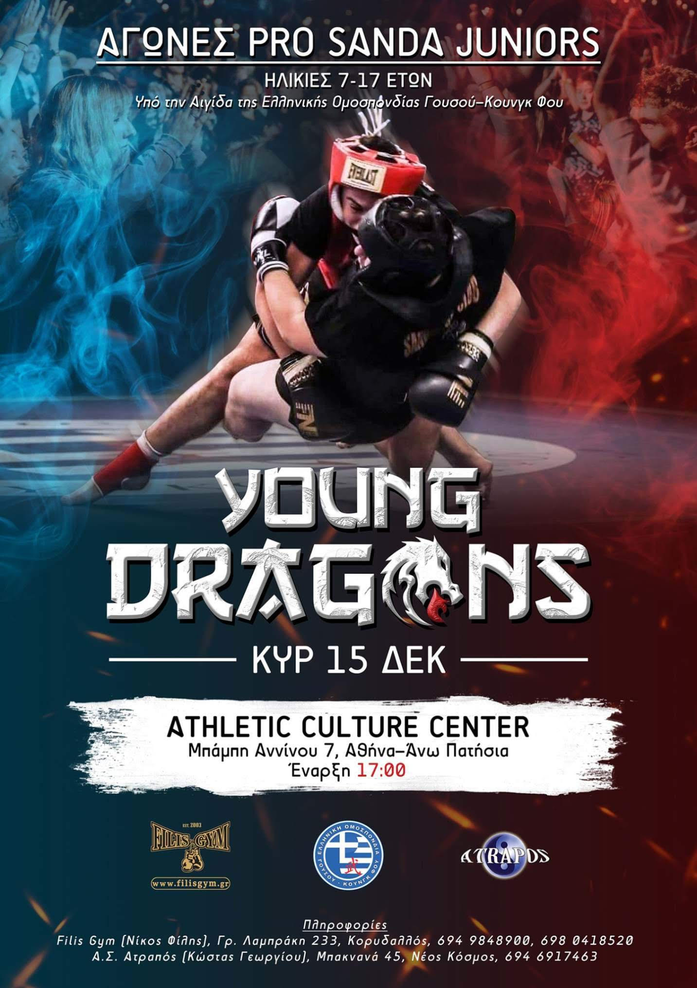 YOUNG DRAGONS
