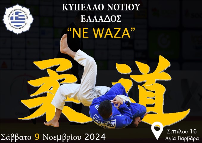 6718fd1ca77368812372384c ne waza Small