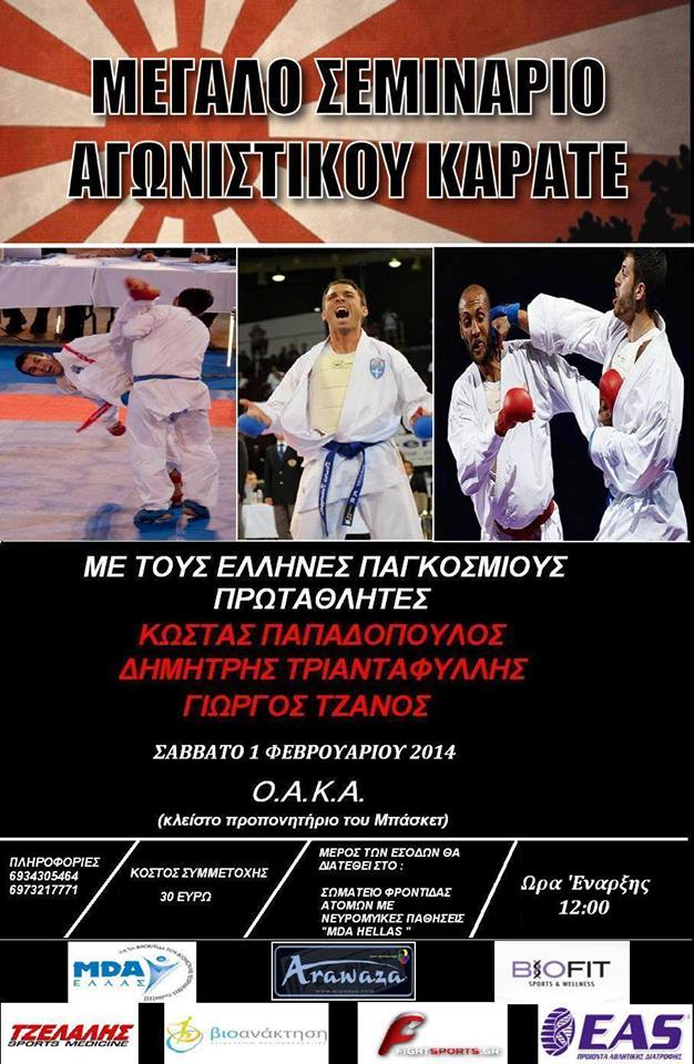 karateseminar2014