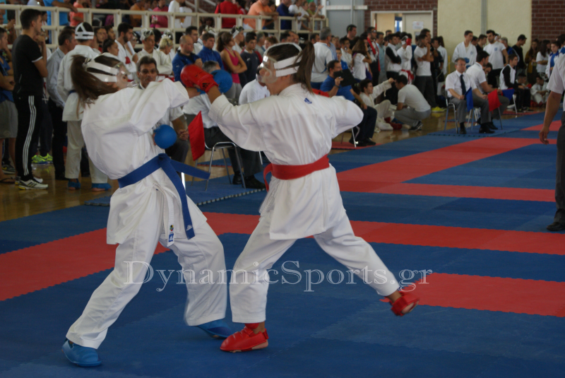 panellinio-2013-4