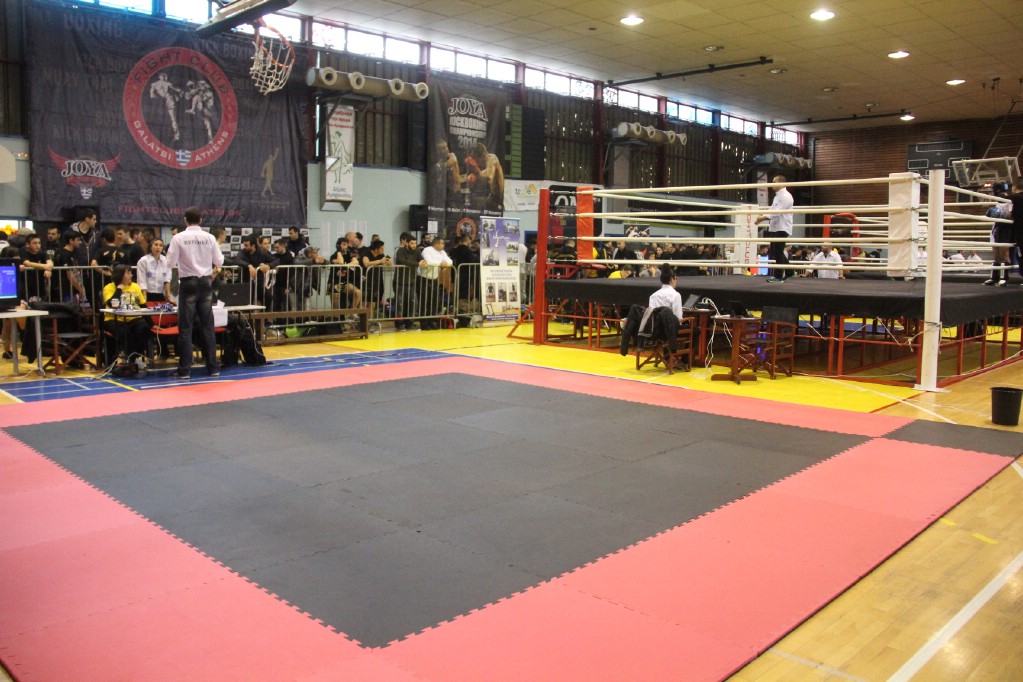 joya2014jpg