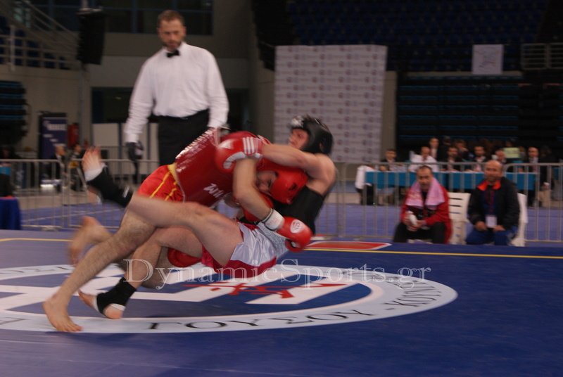 valkanikoi wushu 2015 128