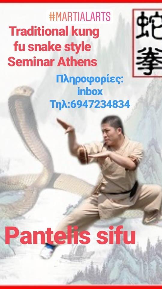  παραδοσιακό kung fu snake style