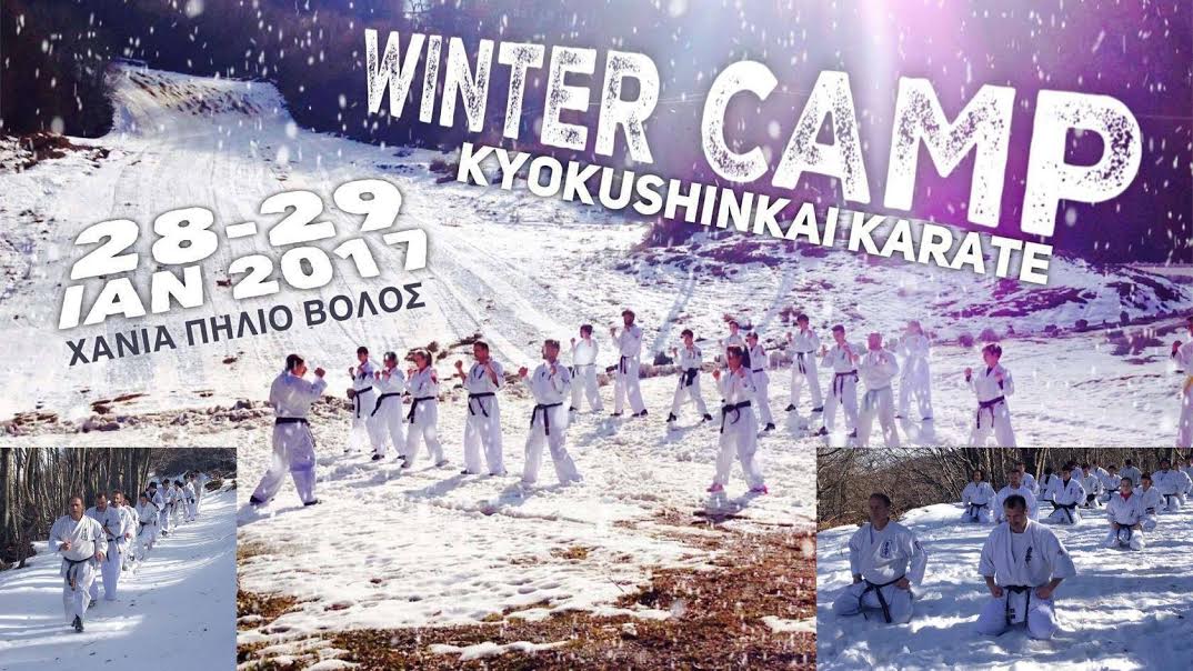 kyokoushin22117
