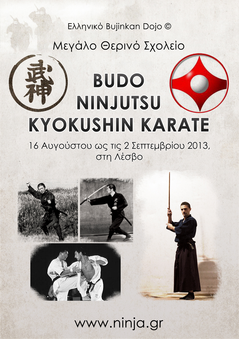 ninjutsu kyokushin greece summer school 2013