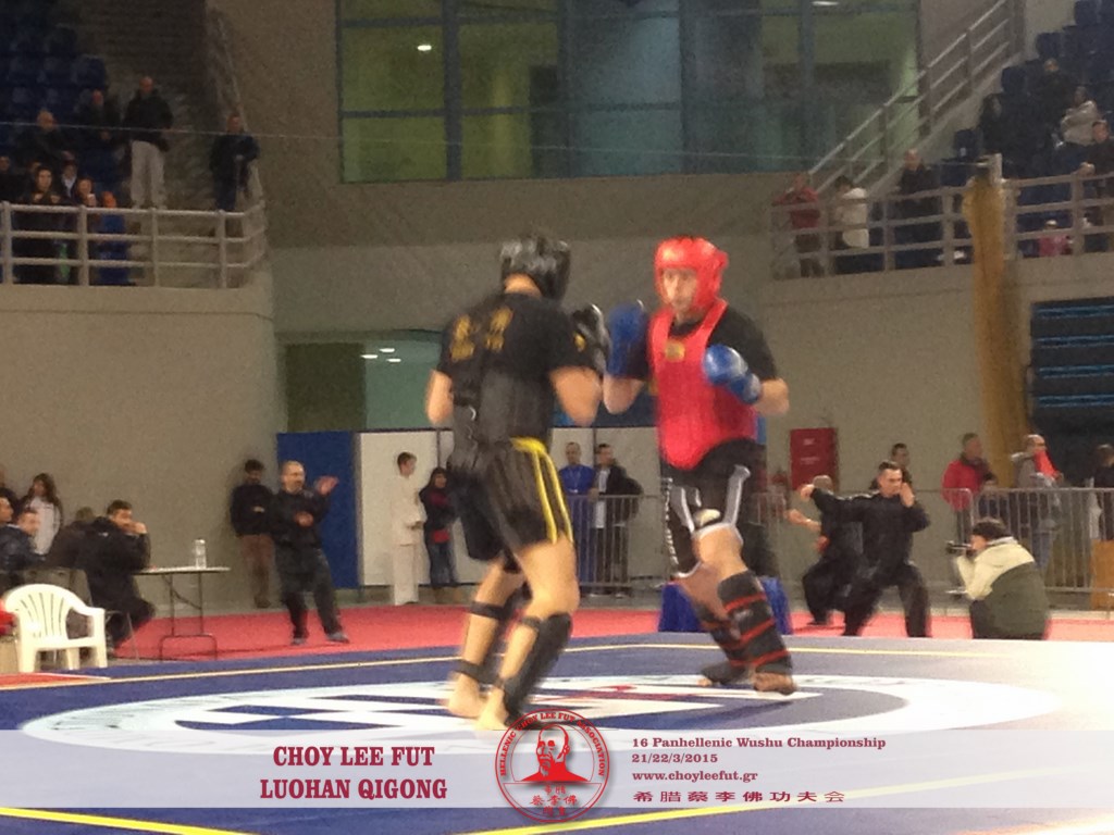 16 panel wushu CLF22