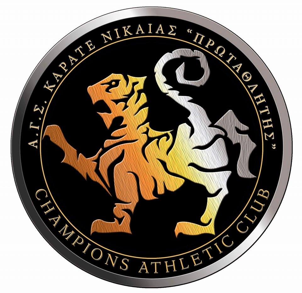 lekakoslogo20117