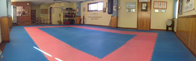 dojang-schools-10 width=