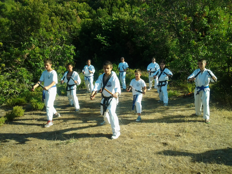 dojang-schools-2