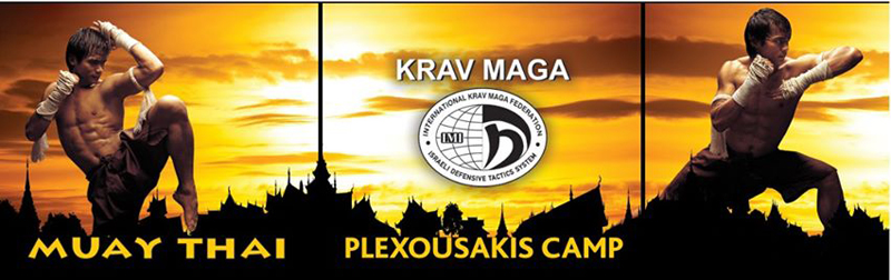 plexousakis-camp-logo