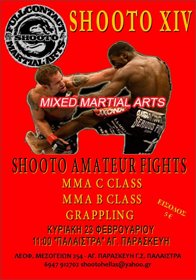 shooto2014