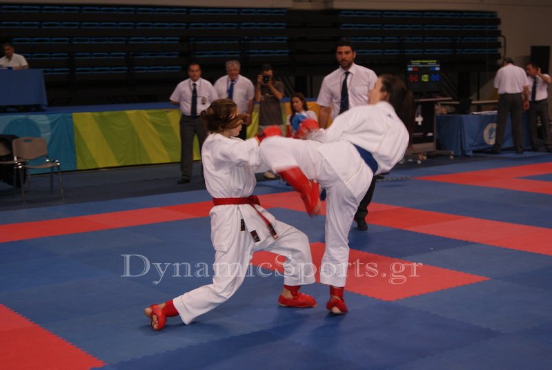 panell shotokan 2015 11