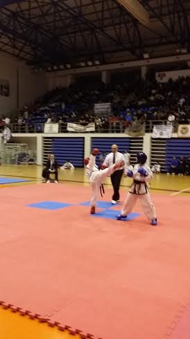 tkd132015