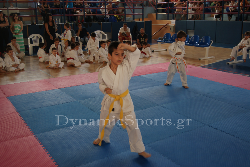wado-imerida-2014-34