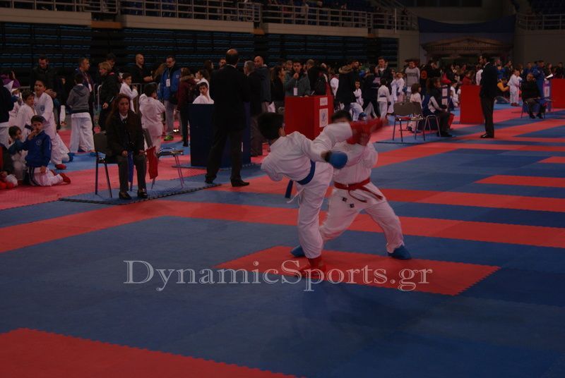 wado panel 2017 44