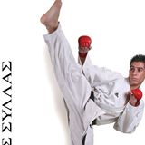 wado-sylas