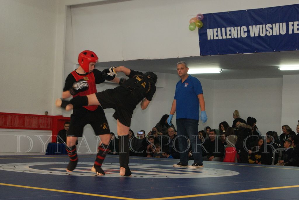 sanda young dragons 05265