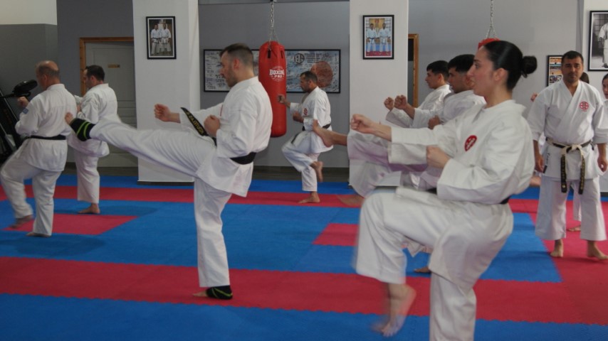 DSC05654 Small