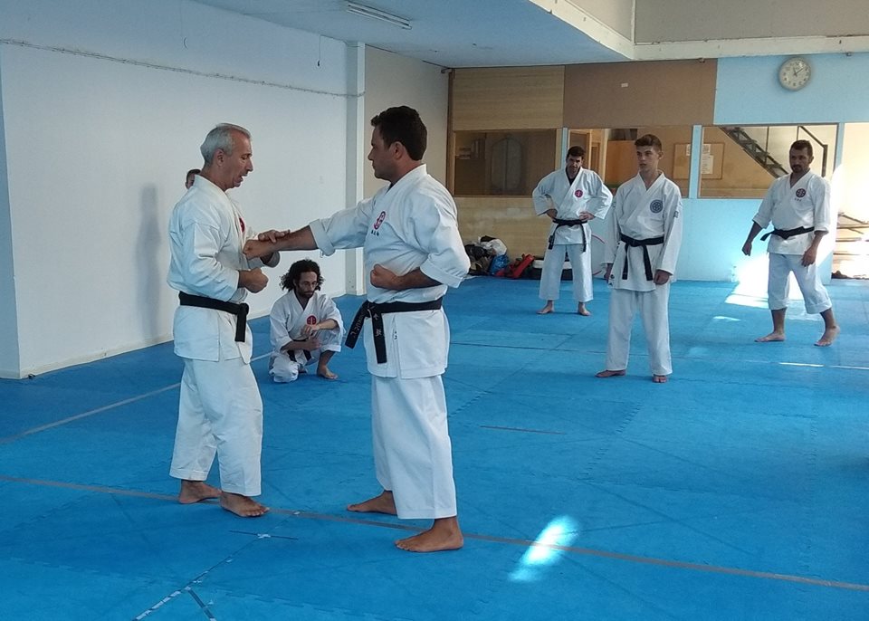SEMINAR HELLENIC SHITOKAI KARATE DO 8 & 9 - 9 - 2018