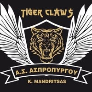 Διακρίσεις του Α.Σ. ΜΑΧΗΤΕΣ ΑΣΠΡΟΠΥΡΓΟΥ - TIGER CLAWS MANDRITSAS TEAM στο Πανελλήνιο Πρωτάθλημα KICKBOXING 2025