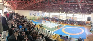 Πανελλήνιο πρωτάθλημα ΜΜΑ 2024