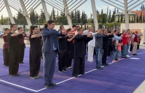 Ημέρα WUSHU KUNG-FU