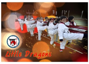 Τμήματα Little Dragon (4 - 7χρ) στο "Dojang - Martial Arts Institute"