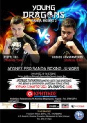 YOUNG DRAGONS - SANDA BOXING 2