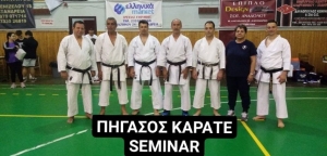 Με επιτυχία διεξήχθη το σεμινάριο Καράτε του Α.Σ. ΠΗΓΑΣΟΣ