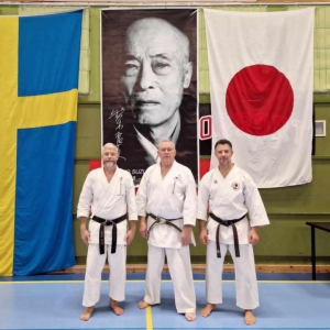 Σεμινάριο του sensei Άγγελλου Γκόργκα στην Σουηδία!